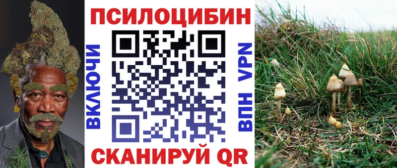 Псилоцибиновые грибы мухоморы  где купить   мега ТОР  Кувшиново 